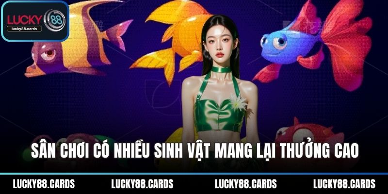 Sân chơi có nhiều sinh vật mang lại thưởng cao Sân chơi có nhiều sinh vật mang lại thưởng cao